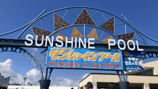 Thumbnail of post image 038
